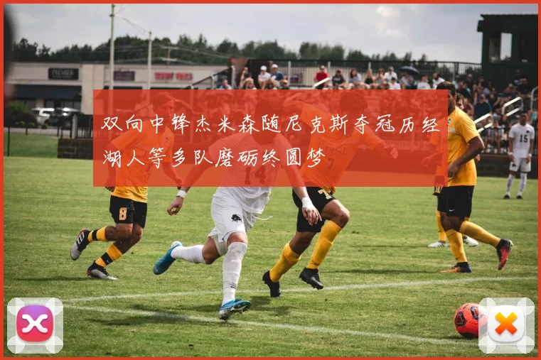 双向中锋杰米森随尼克斯夺冠历经湖人等多队磨砺终圆梦